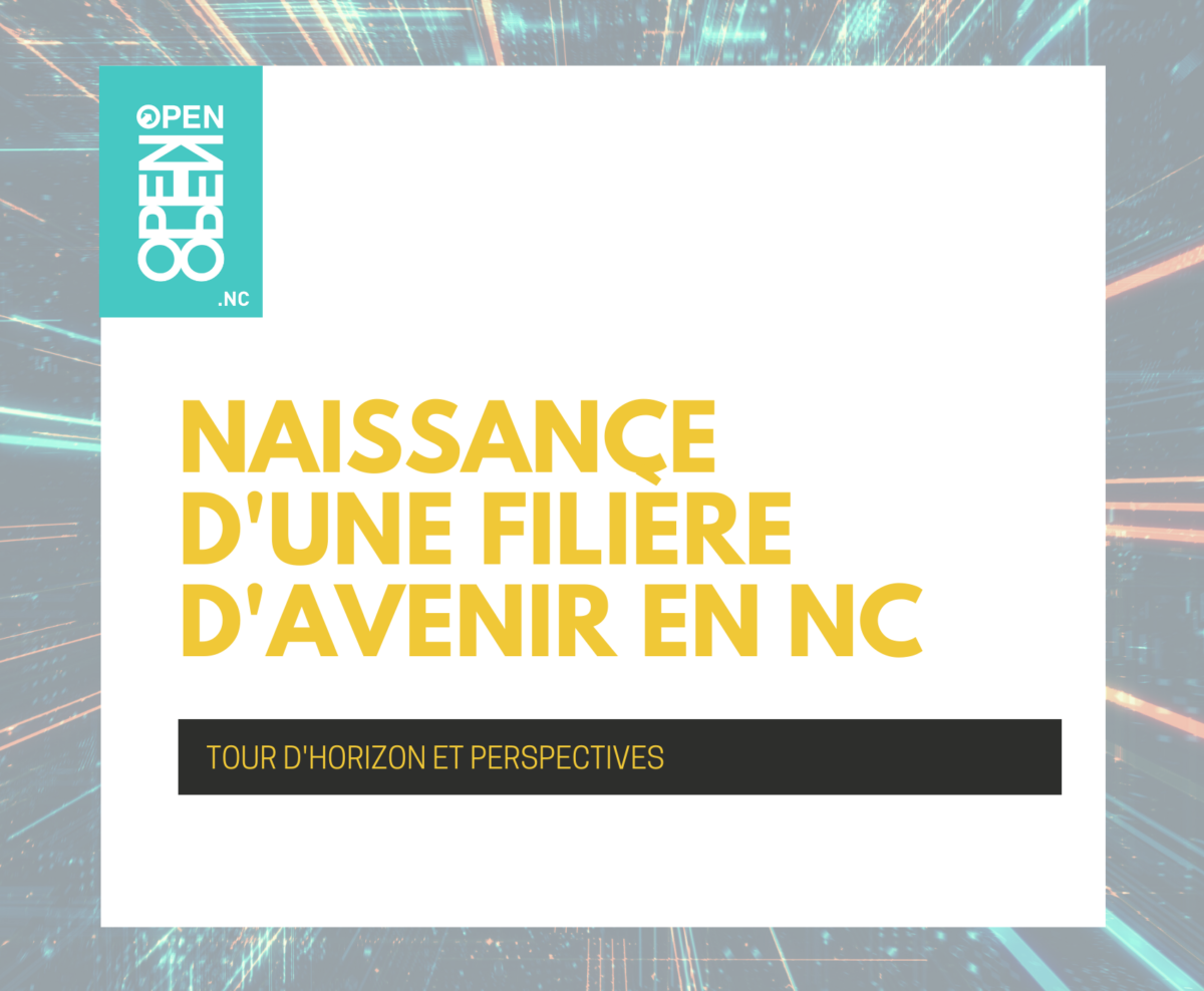 Naissance d’une filière d’avenir en NC