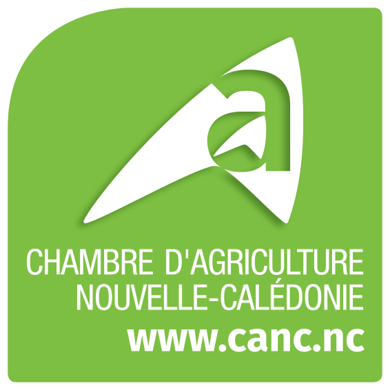 Nos Partenaires
