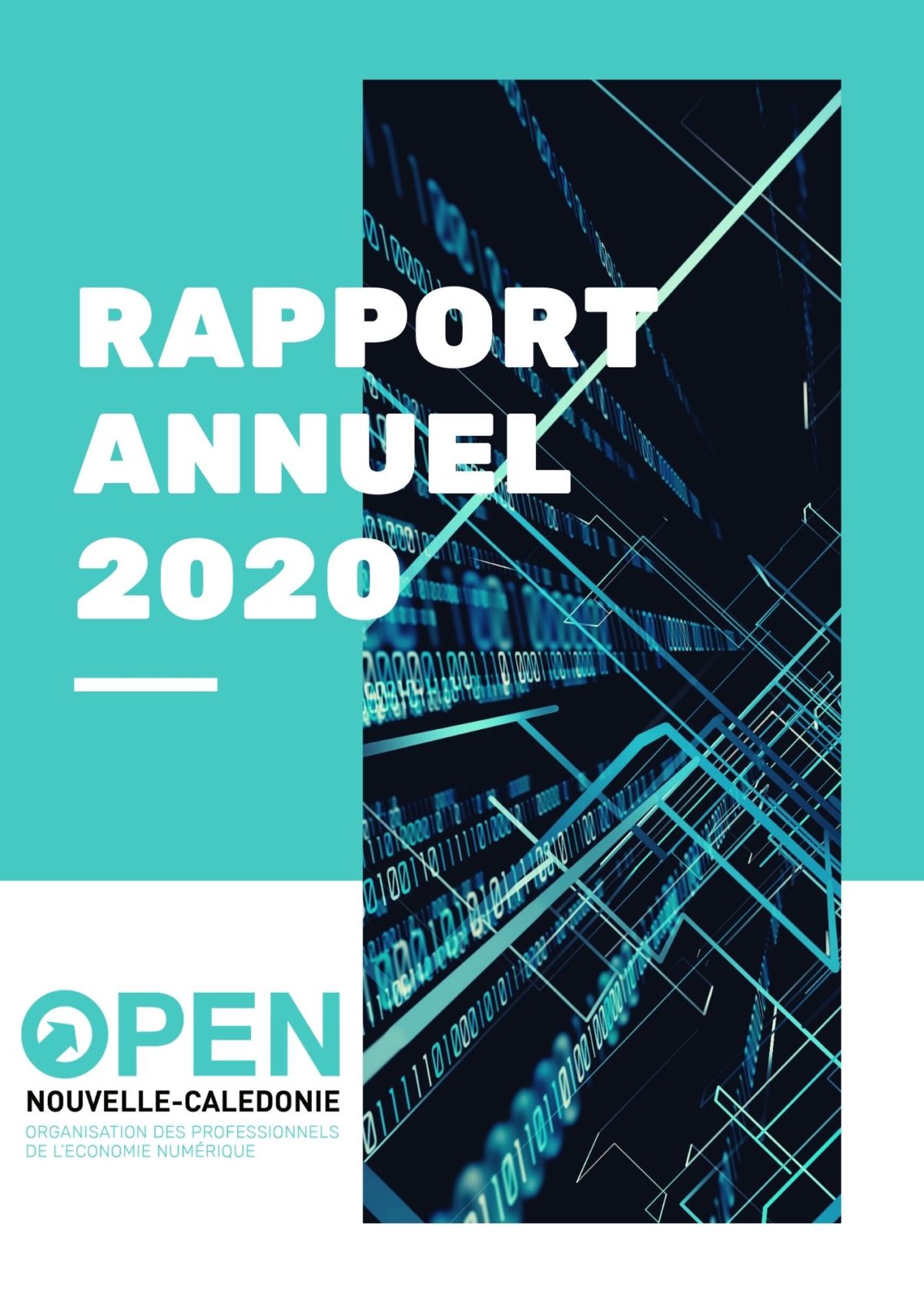 Rapport d’activité OPEN NC 2020