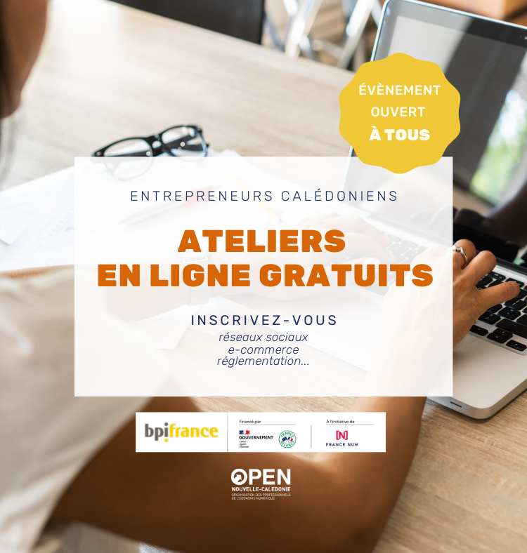 Les Tremplins du Numérique – Lancer un site e-commerce rentable