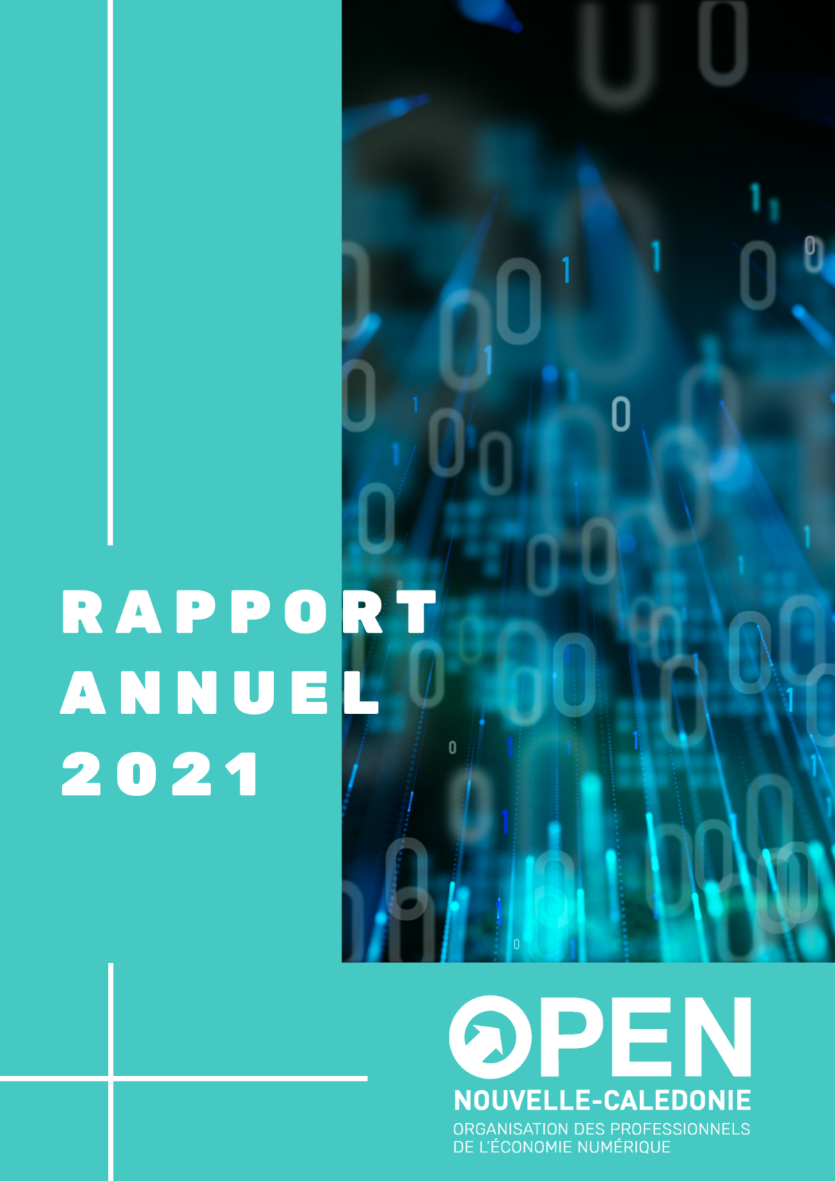 Rapport d’activité OPEN NC 2021