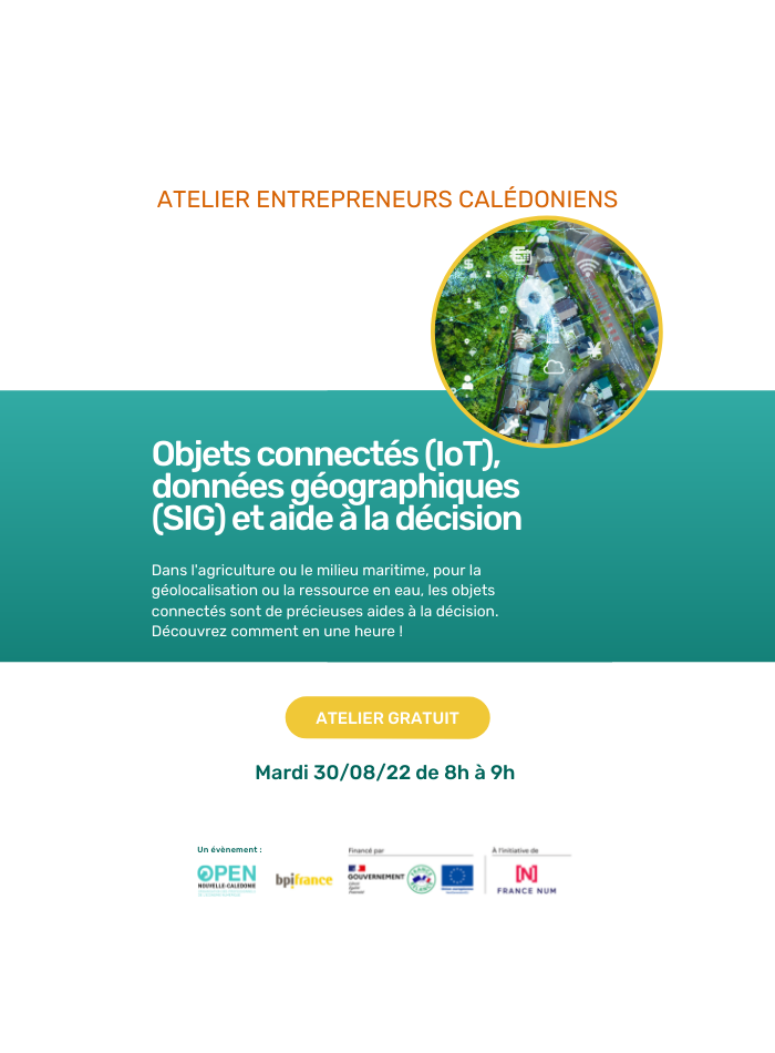 Atelier gratuit TPE/PME – Objets connectés (IoT), données géographiques (SIG) et aide à la décision