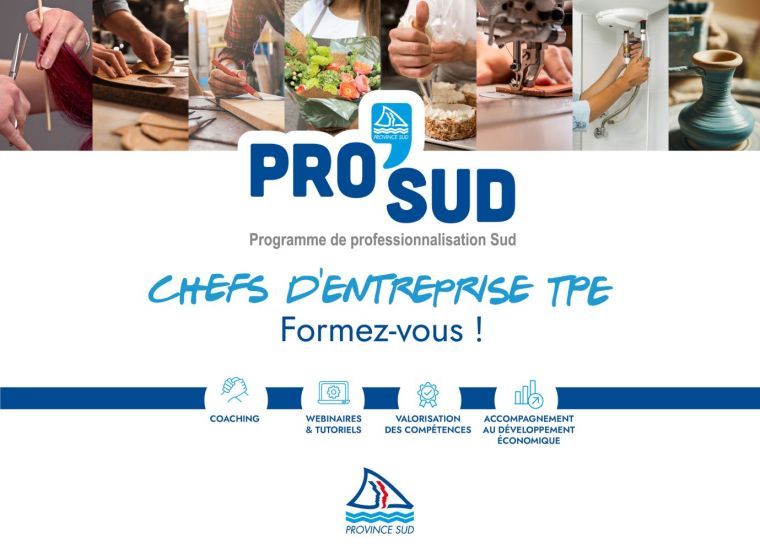 PRO’SUD : le dispositif destiné aux chefs d’entreprises propose un coaching CYBER