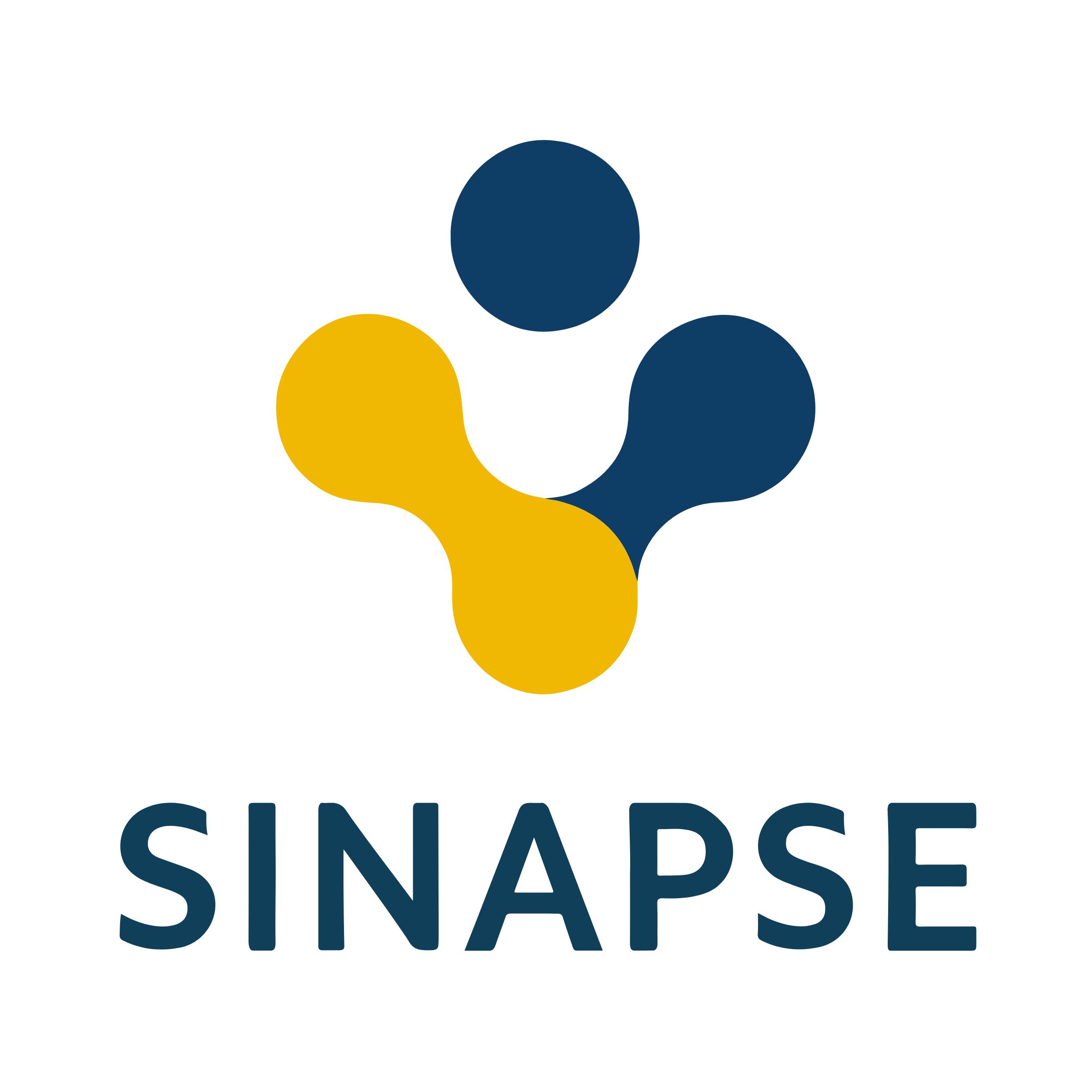 SINAPSE