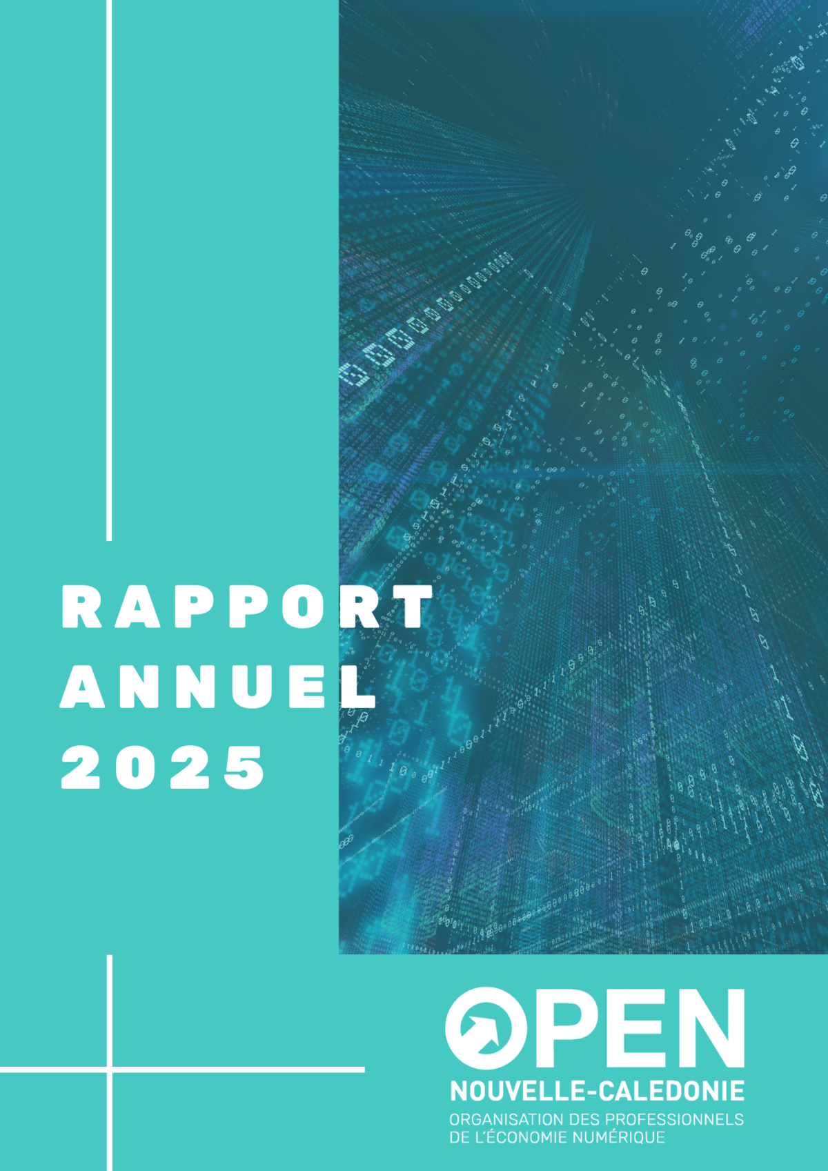 Rapport d’activité 2025 : une année d’engagement pour OPEN NC